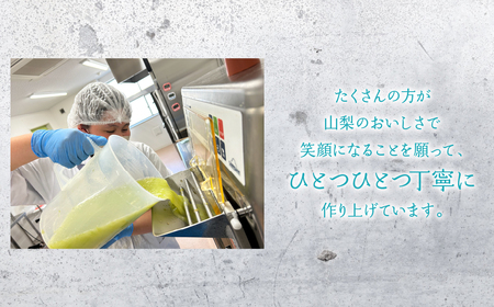 山梨のおいしさまるっと！ジェラート（6種セット）桃・ぶどう・いちご・ミルク・いちじく・ころ柿 201-001