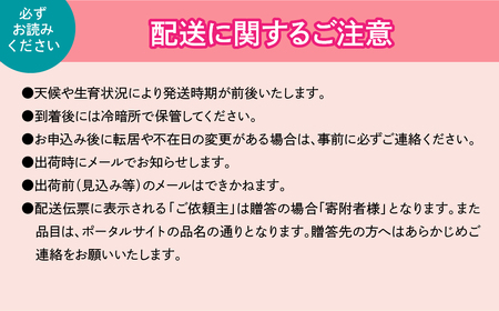【2026年発送★先行予約】笛吹市産 厳選! シャインマスカット 2~3房 約1.0kg 205-004-26y