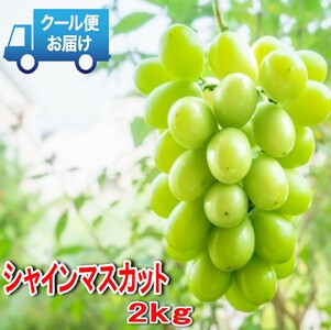 【2026年発送★先行予約】安心のクール便発送　収穫当日に産地直送　シャインマスカット 2kg (3～4房) 179-002-26y