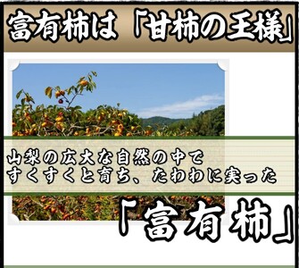 ＜2024年先行予約＞甘柿の王様　広瀬の富有柿 2kg 3Lサイズ 約5～6玉 179-014