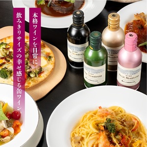 プティモンテリア ルージュ300ml×24本 018-031