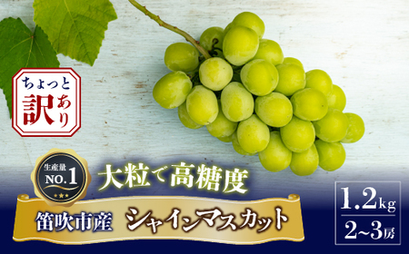 2024年先行予約＞ちょっと訳アリ 『シャインマスカット』 山梨県産ぶどう 青秀品 2～3房 計約1.2kg ※冷蔵 JAふえふき 203-012 |  山梨県笛吹市 | ふるさと納税サイト「ふるなび」