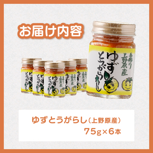山梨県上野原市産 手作りゆずとうがらし 75g×6本 ゆずとうがらし 柚子 唐辛子 柚子胡椒 調味料 人気 まろやか フルーティー 香り 上野原市産 送料無料 山梨県 上野原市