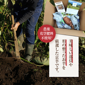 ◆◆2025年度収穫分◆◆ 「農家 農天氣がおくる」山梨県上野原市産 京芋 約4kg