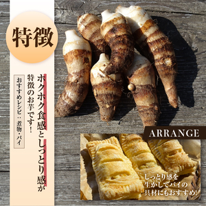 ◆◆2025年度収穫分◆◆ 「農家 農天氣がおくる」山梨県上野原市産 海老芋 約4kg