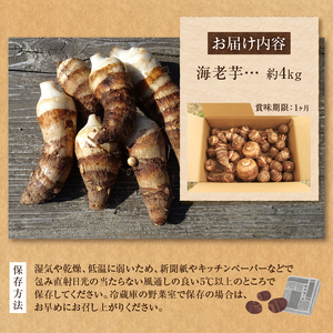 ◆◆2025年度収穫分◆◆ 「農家 農天氣がおくる」山梨県上野原市産 海老芋 約4kg