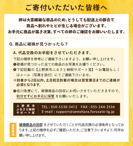 【山梨県産 卵】ミシュランも選ぶ高級卵セット（ピンク玉 30個）