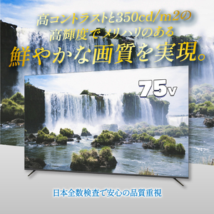 75V型４K対応液晶モニター 家電 ダイコーアペックス（AP75DPX）