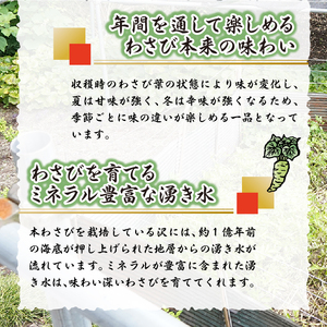 長寿むら入山沢水源わさび漬 手作り×５個 わさび漬け 漬物 手作り 長寿むら入山沢水源わさび漬け ワサビ 山葵 ご飯のお供 プレゼント 贈答 贈り物 送料無料 山梨県 上野原市