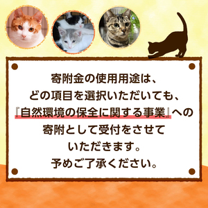 飼い主のいない猫への避妊・去勢手術費支援プロジェクト【返礼品なし】（寄附金額：1,000円）