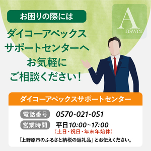 ＼年内発送／ チューナーレステレビ 40型 液晶モニター (AP40APX) セカンドテレビ 40V 子ども用 寝室用 フルハイビジョン 壁掛け可能 VESA対応 家電 電化製品 40インチ 法人用にもおすすめ ホテル 学校 病院 デジタルサイネージ ダイコーアペックス 送料無料 山梨県上野原市