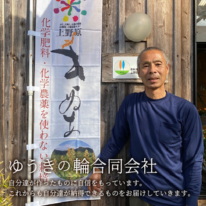 杉と檜の手作り無塗装の積み木