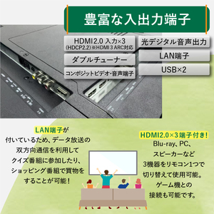 テレビ 65型 Google TV 液晶テレビ AP655GL ハイビジョン 65V 家電 電化製品