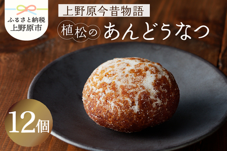 【人気 和菓子】 名菓 あんどうなつ（12個 ）