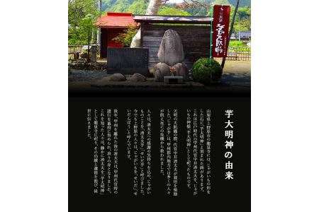 蔵王山芋大明神　原酒樽仕込み【限定品】