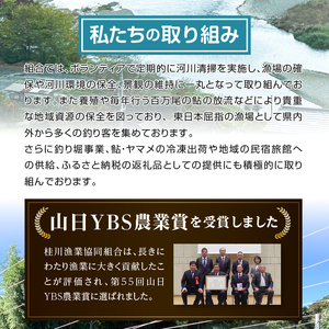 Aセット「甲州桂川の鮎」