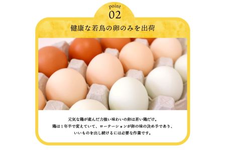 【6ヶ月お届け！】安藤鶏卵のこだわり卵 40個 美味しい卵 高級卵 濃厚鶏卵 生卵 赤玉卵 ピンク玉卵