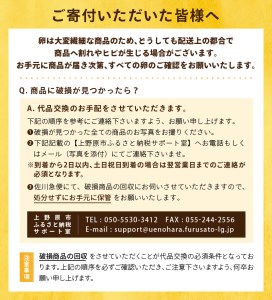 【12ヶ月お届け！】安藤鶏卵のこだわり卵 40個 美味しい卵 高級卵 濃厚鶏卵 生卵 赤玉卵 ピンク玉卵