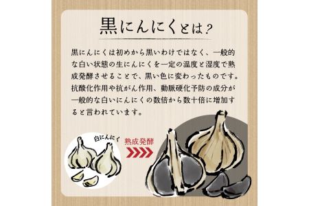 超熟成黒にんにく(250g×3袋セット)