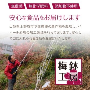 パハール岩塩粉末700g＋ソルト容器１本 | 山梨県上野原市 | ふるさと