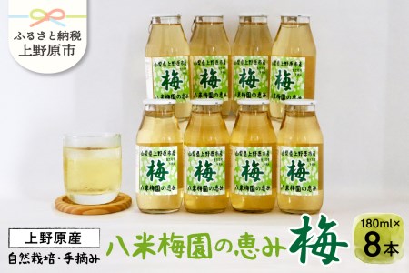 八米梅園の恵み180ml×8瓶