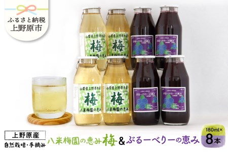 八米梅園の恵み&ブルーベリーの恵み(180ml×8本)