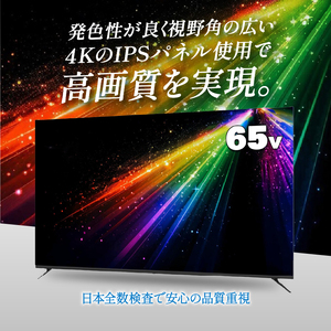 テレビ 65型 4Kパネル ウルトラハイビジョンチューナーレステレビ 家電 ダイコーアペックス (AP65DPX) 法人用モニター デジタルサイネージモニター チューナーレスモニター 大型モニター