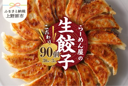 一徹堂・冷凍生餃子(30個)3パック