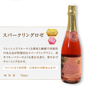 ワイン シャトー勝沼が贈る『スパークリングワイン』ロゼ白２本セット（MG）B12-654