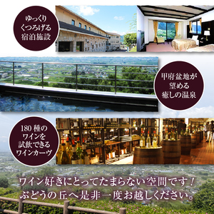 一升瓶サイズのぶどうジュース2本 （KBO）B2-701