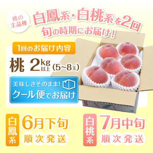 【定期便】完熟桃食べ比べ 2kg以上×2回送り（HK）C1-442【山梨県 定期便 フルーツ もも 桃 モモ ピーチ 人気 新鮮 フルーツ 桃 デザート フルーツ もも 甲州市 山梨県産 桃 モモ ギフト くだもの 果樹 桃 もも 贈答 果物 フルーツ 旬 桃 もも 品種 白桃 白鳳 家庭用 フルーツ もも 桃 果物 果実 先行予約 令和6年 2024年発送】