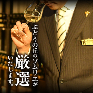 ワイン 勝沼ぶどうの丘推奨・紅白ギフトセット （KBO）C-657