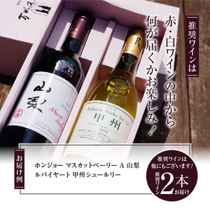 ワイン 勝沼ぶどうの丘推奨・紅白ギフトセット （KBO）C-657