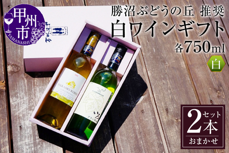 ワイン 勝沼ぶどうの丘推奨・白ワイン2本のギフトセット （KBO）C-658