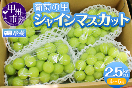 葡萄の里 シャインマスカット たっぷり大容量 2.5kg以上（4～6房