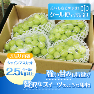 葡萄の里 シャインマスカット たっぷり大容量 2.5kg以上（4～6房