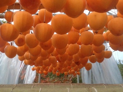 冬の味覚!甲州市産 枯露柿(干し柿)(9~12個)約600g(APX)A09-195