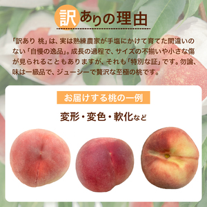 甲州市 訳あり 桃『味わえば一級品の美味しさ』約2kg 5~8玉【2026年発送】(SHP)B-458 桃 フルーツ