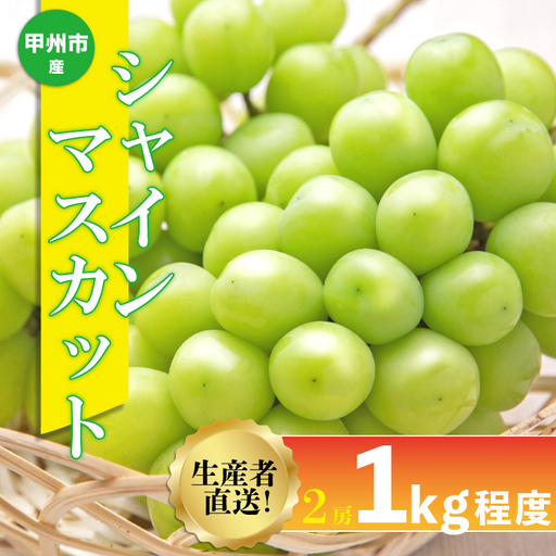 生産者直送『シャインのふるさと甲州』シャインマスカット 2房（約1kg）【2026年発送】（SFK）B11-856 シャインマスカット フルーツ