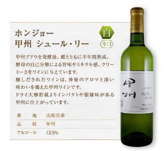 ホンジョーワイン贅沢赤白飲み比べセット（MG）B15-699