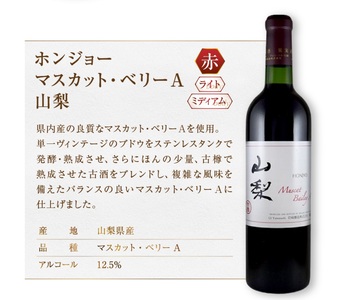 ホンジョーワインおすすめ赤白2本セット（MG）B13-653