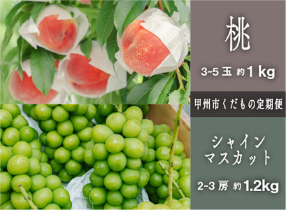 【定期便】甲州市プレミアムセレクション 厳選フルーツ定期便 桃約1kg シャインマスカット約1.2kg【2026年発送】(SHP)C-475 桃 シャインマスカット フルーツ