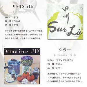 甲州市から厳選日本ワイン12本セット（CKH）J-770【ワイン 赤ワイン 白ワイン ロゼワイン スパークリングワイン 甲州市 山梨県 】