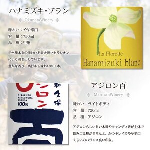 甲州市から厳選日本ワイン12本セット（CKH）J-770【ワイン 赤ワイン 白ワイン ロゼワイン スパークリングワイン 甲州市 山梨県 】