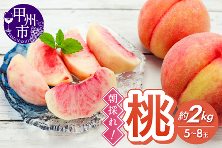 朝採れ！甲州市産 桃 約2kg（5～8玉）【2026年発送】（RC）B12-436 もも フルーツ 6,480円