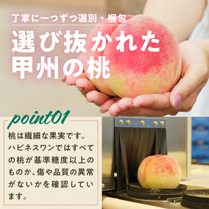 桃 数量限定！旬の朝採れたて黄金桃 2kg以上（5～7玉）【2026年発送】（HO）B12-151 フルーツ