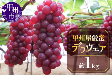 甲州屋厳選 勝沼産デラウエア葡萄 約1kg【2026年発送】B-115 ぶどう フルーツ