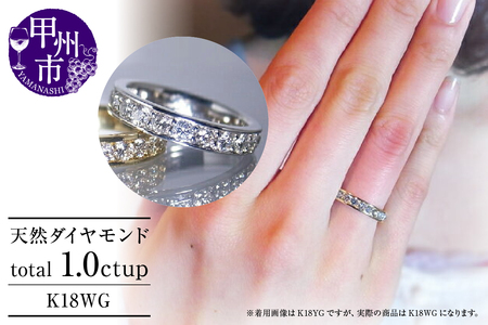 指輪 天然 ダイヤモンド 1.0ct フルエタニティ SIクラス Nadine ナディーヌ【K18 WG】r-170（KRP）R33-1410