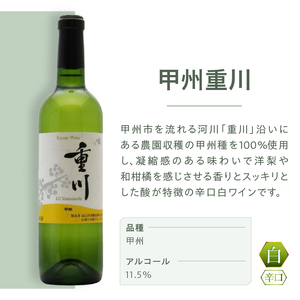 ワイン 塩山洋酒醸造の白ワイン『甲州重川』（RC）B-641