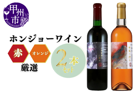 ワイン ホンジョーワイン厳選 赤・オレンジ飲み比べセット（MG）C3-650